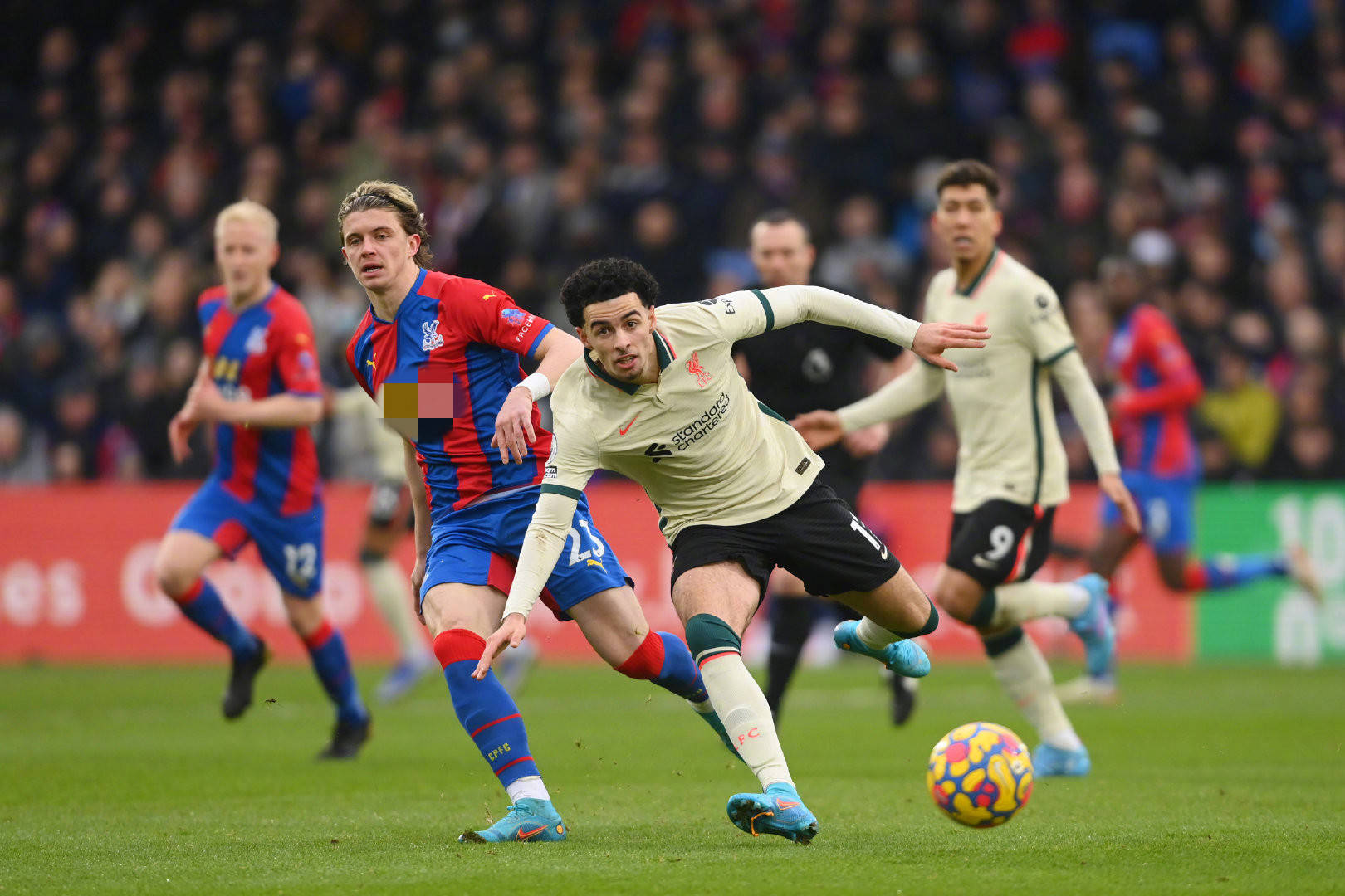 球队内部的 球队内部的